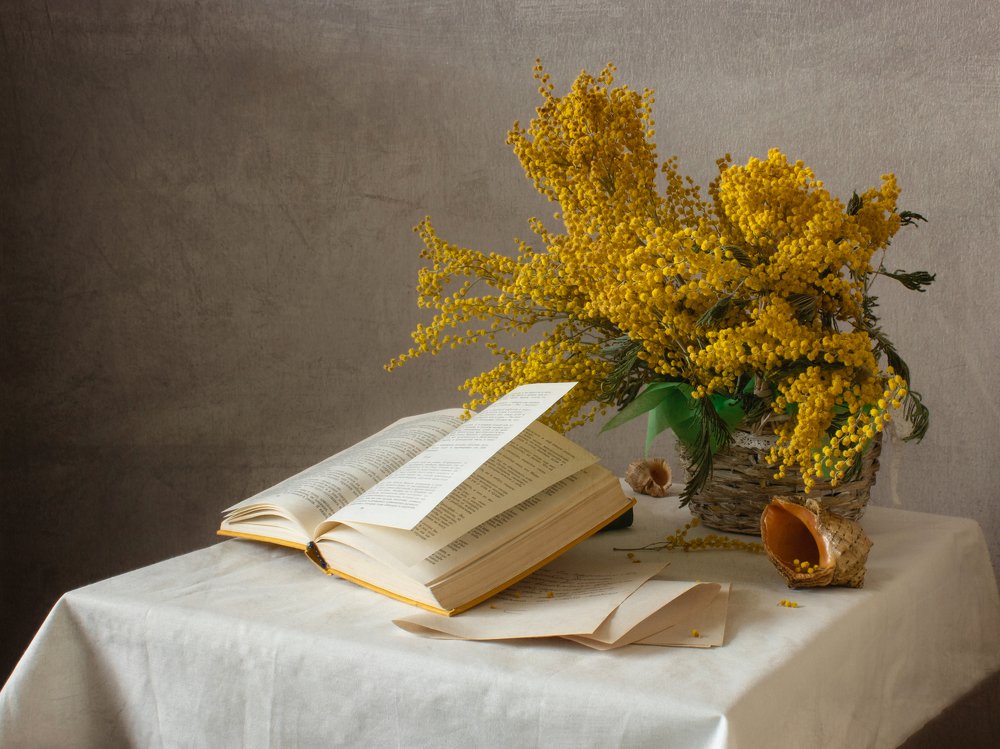 Натюрморт с мимозой