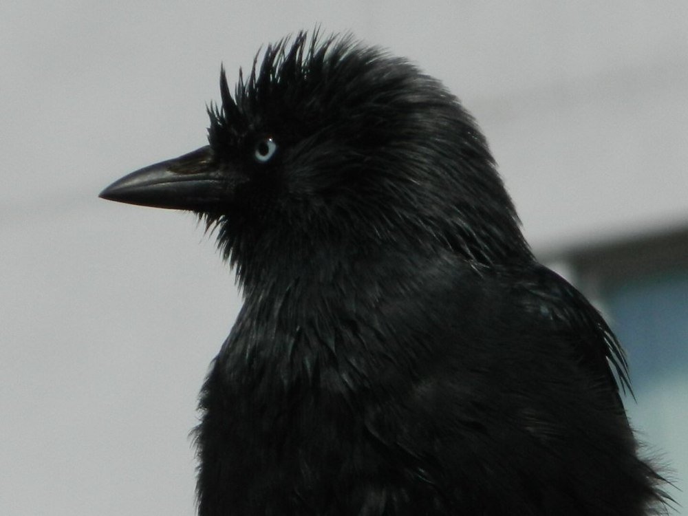 Photograph by Юлия Зеленева