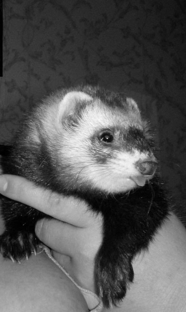 Photograph by Юлия Зеленева