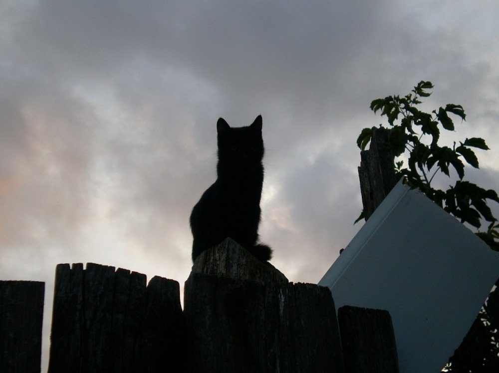 Photograph by Юлия Зеленева