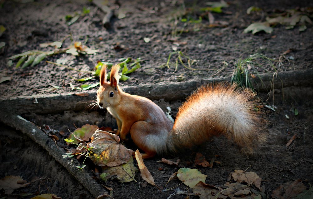 Photograph by Galina Tsmyg