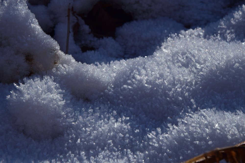 Photograph by Марина Белькова