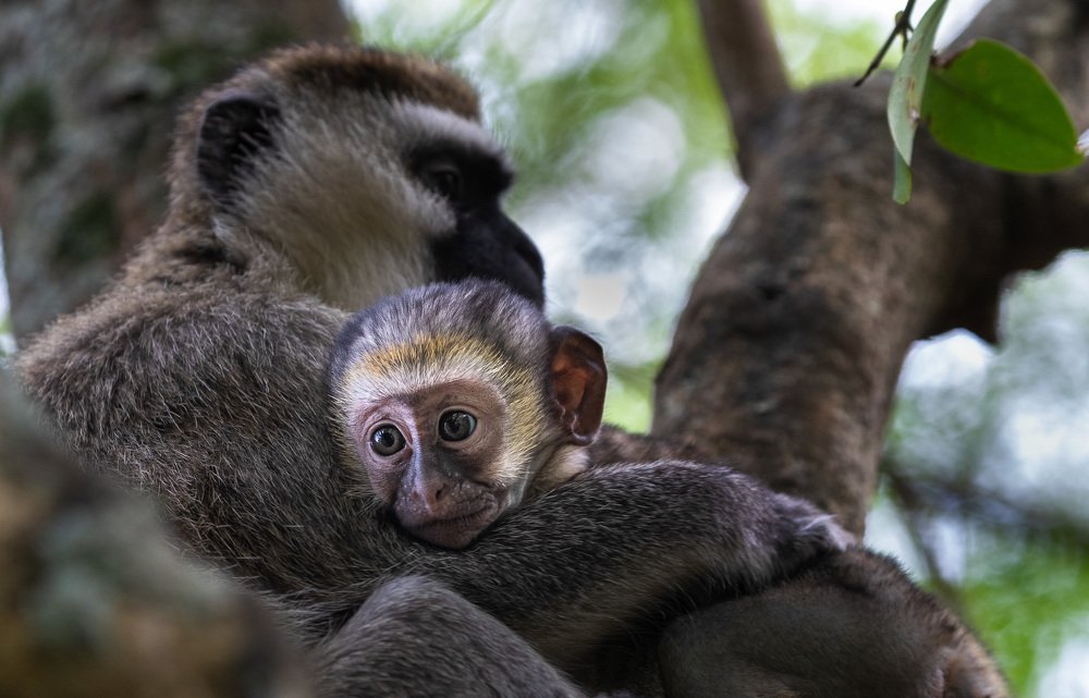Photograph by Александр Лозицкий