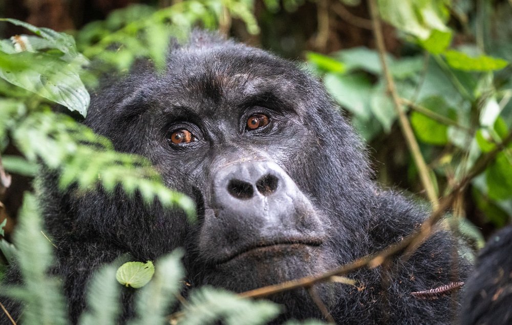 Photograph by Александр Лозицкий