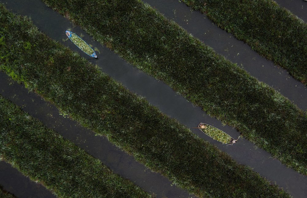 Photograph by Duong Le Thai