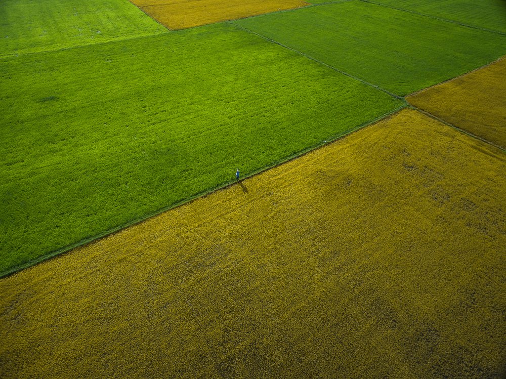 Photograph by Duong Le Thai