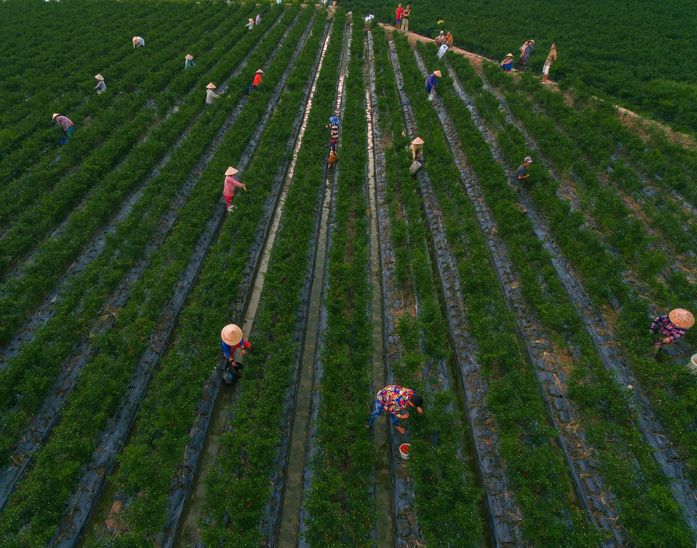 Photograph by Duong Le Thai