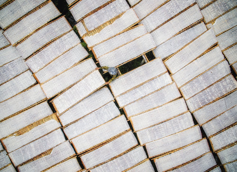 Photograph by Duong Le Thai