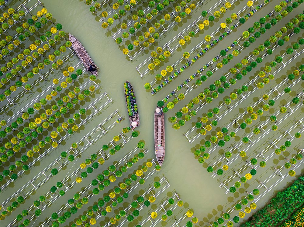 Photograph by Duong Le Thai