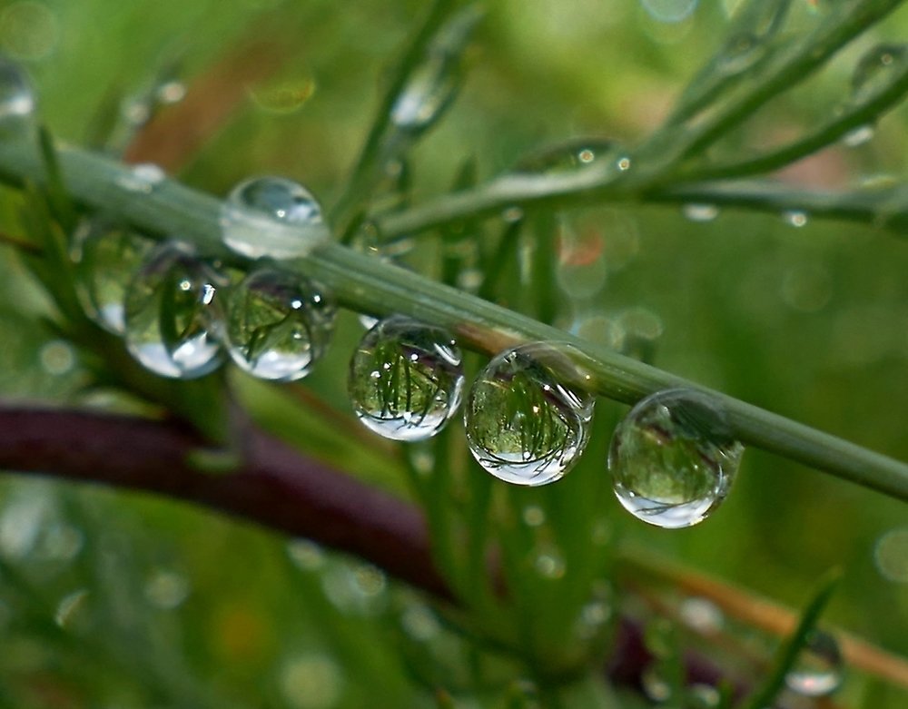 Photograph by Наталья