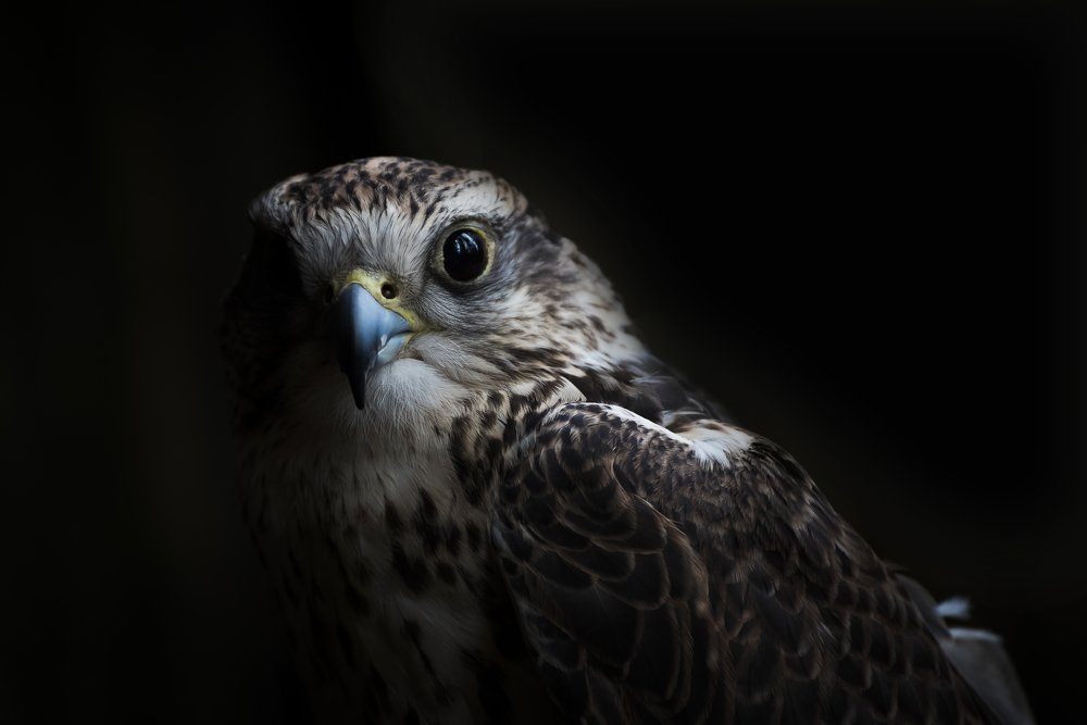 Photograph by Ela Opatowiecka