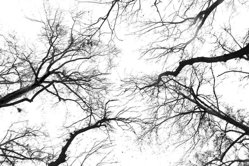 Photograph by shabnammoghadam