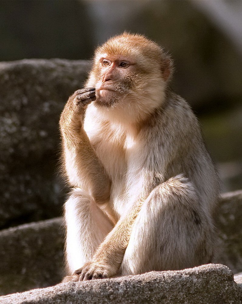 Надо подумать...