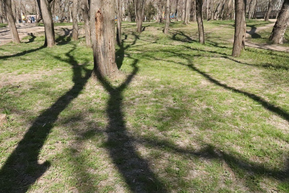 Photograph by Родосская Нонна