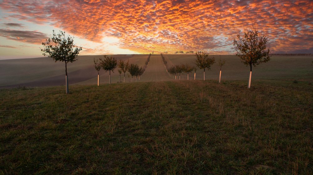 Photograph by Геннадий