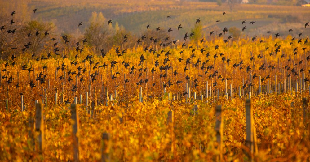 Photograph by Геннадий