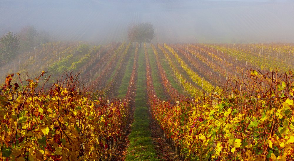 Photograph by Геннадий