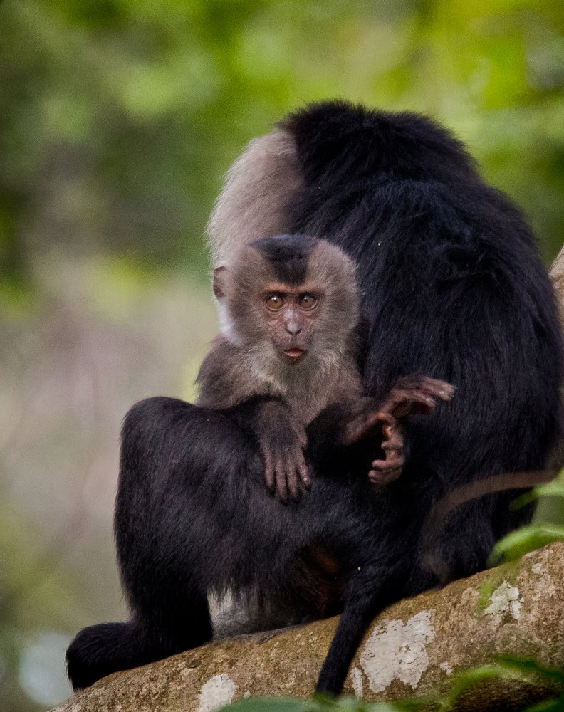 Photograph by srikanth balaji