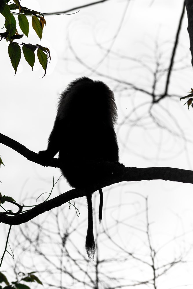 Photograph by srikanth balaji