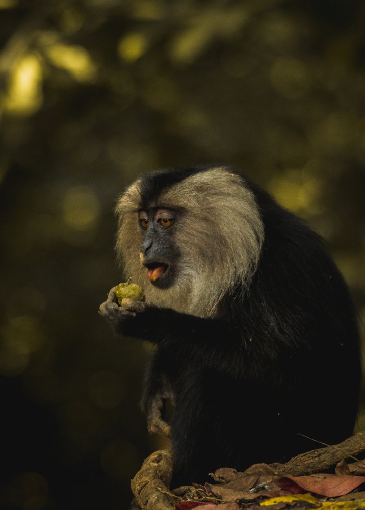 Photograph by srikanth balaji