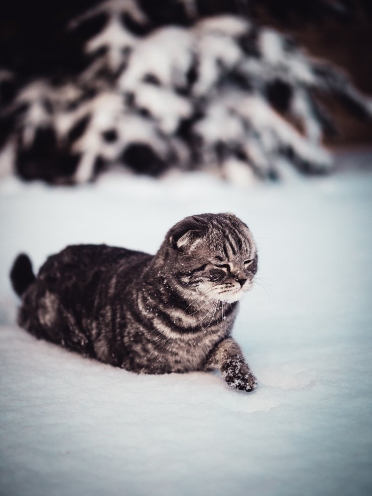 Photograph by Oxana Rovitskaya