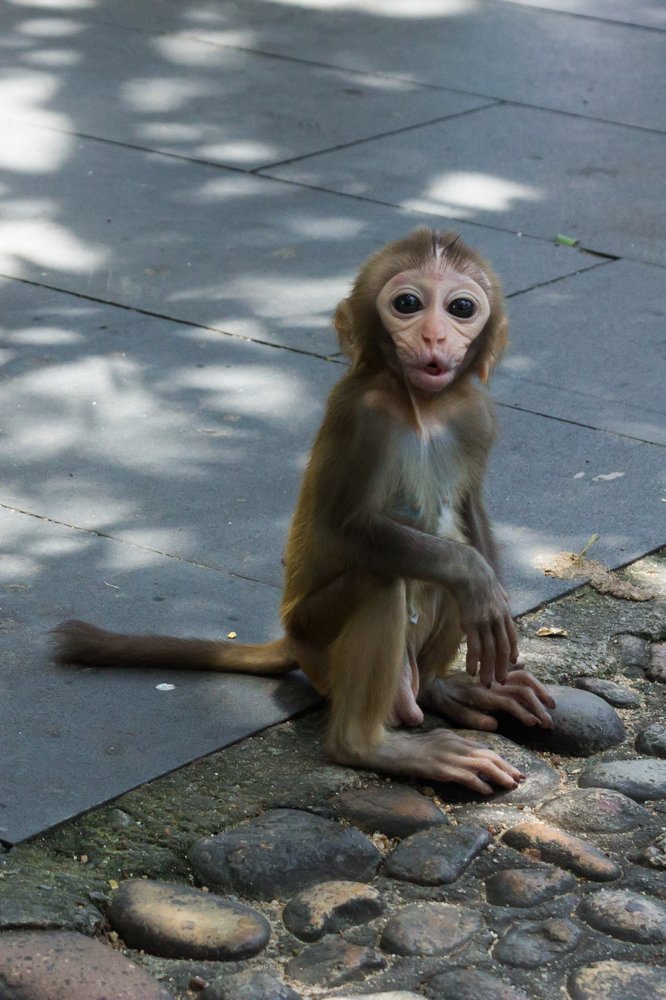 Photograph by Юлия Боровкова