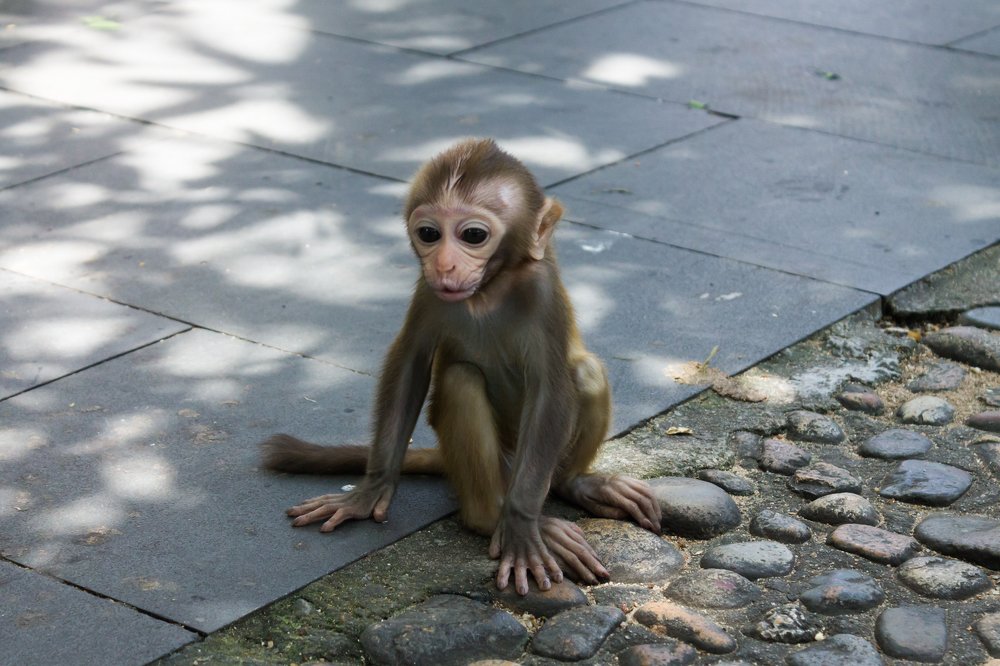 Photograph by Юлия Боровкова