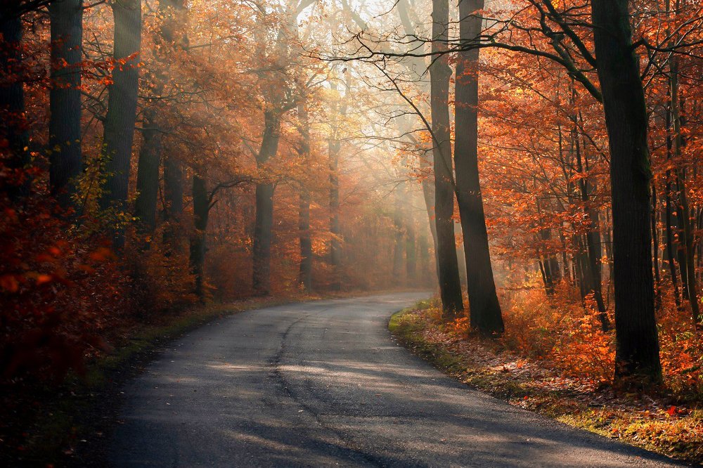 Photograph by  MiroM