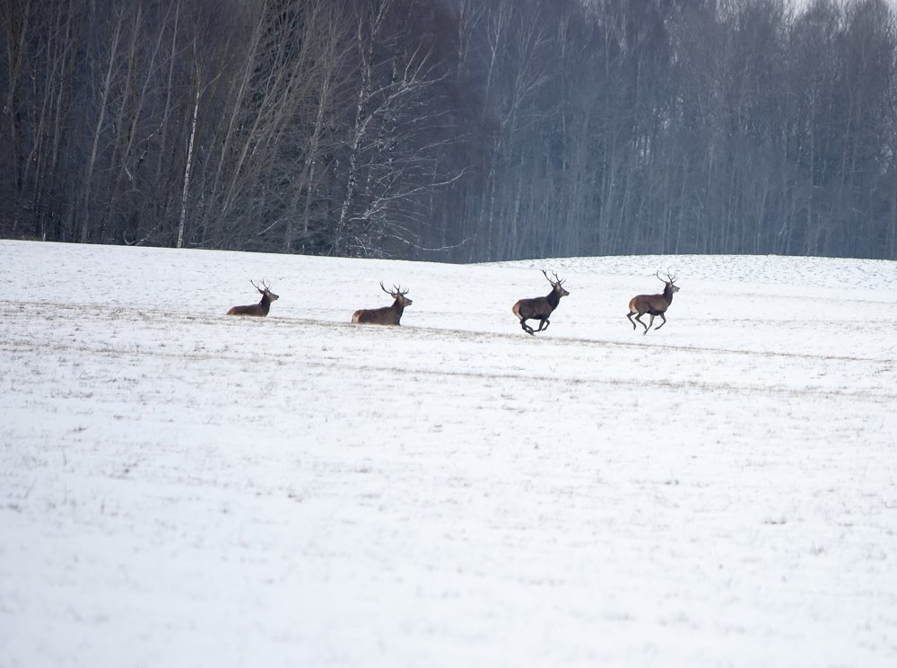 Photograph by Александра Савельева