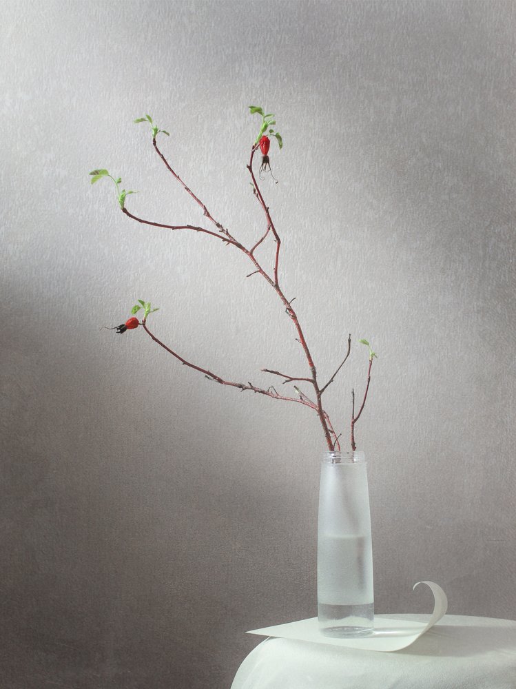 Photograph by Ольга Савостина