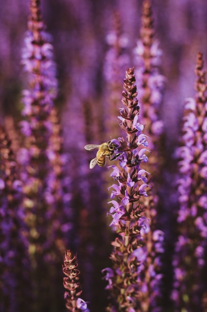 Photograph by Mikhail Urmashev