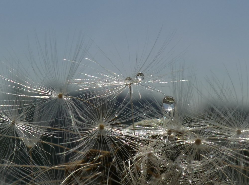 Photograph by Наталья