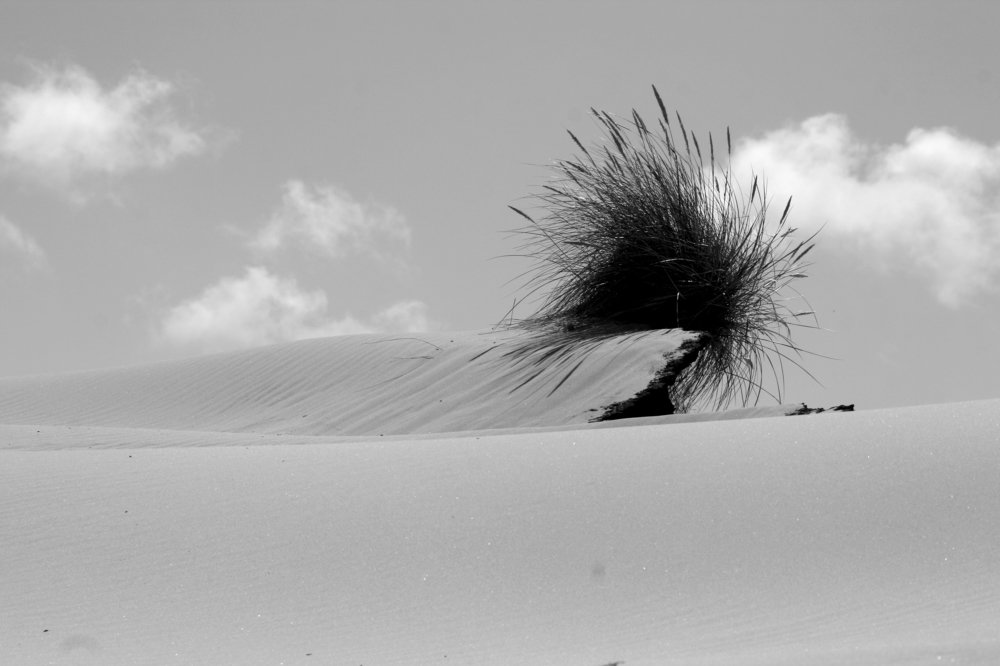 Photograph by Tereza Gaiduchok