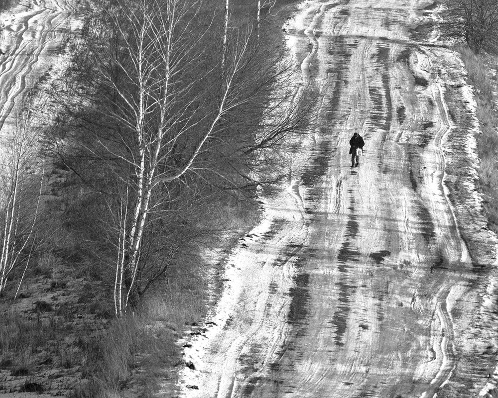 Photograph by Степанов Евгений