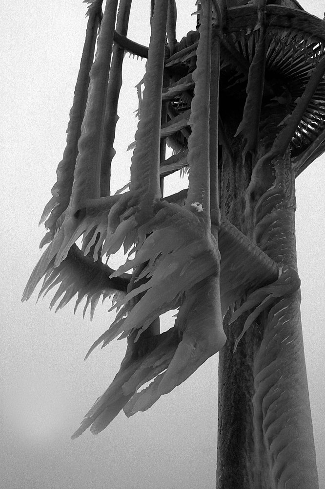 Photograph by Tereza Gaiduchok