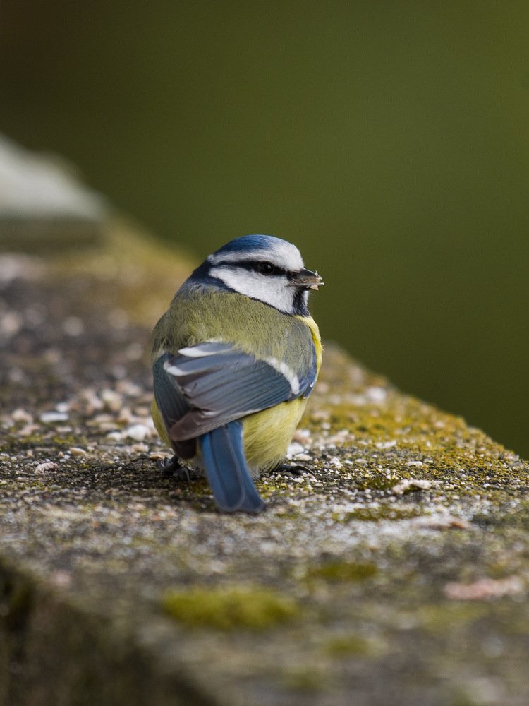 Photograph by Dana Catanoiu