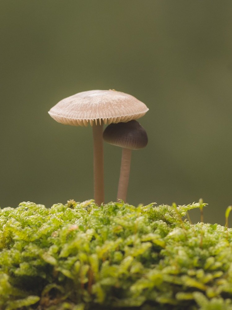 Photograph by Dana Catanoiu