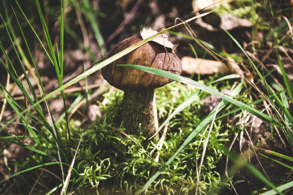 Photograph by Елизавета Большакова