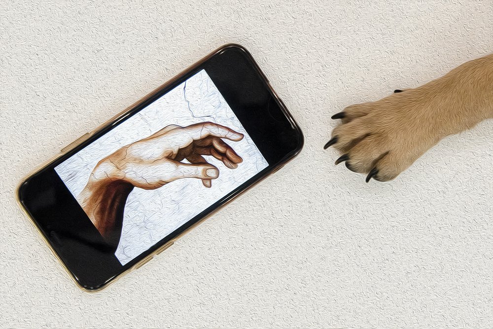 Photograph by Кадырова Марина