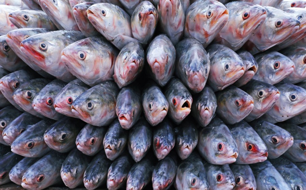 Photograph by Sabina Akter