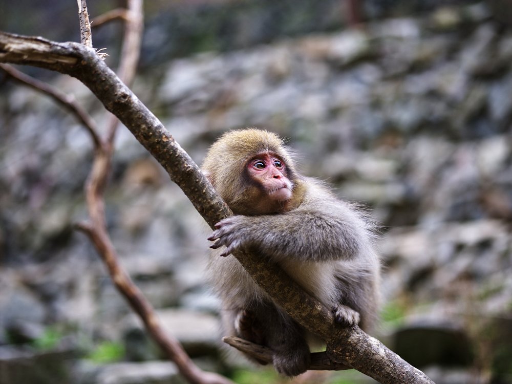 Photograph by Michael Epel