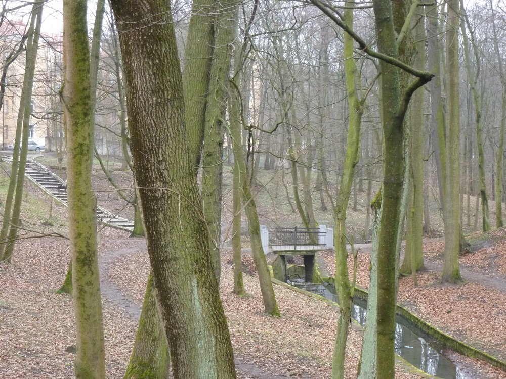 Photograph by оксана