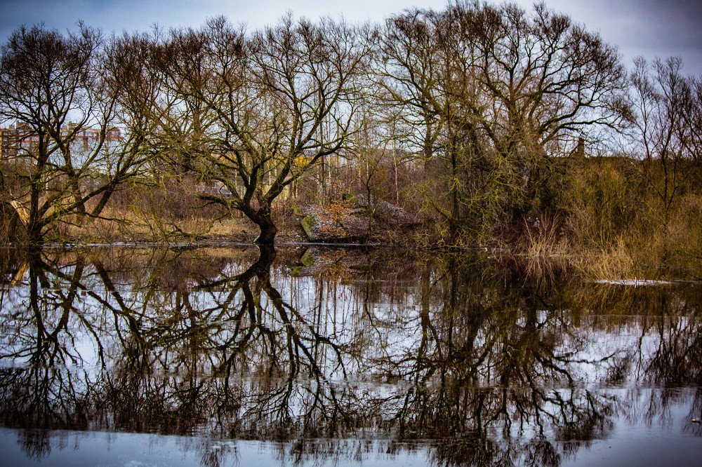 Photograph by Ольга Сафронова