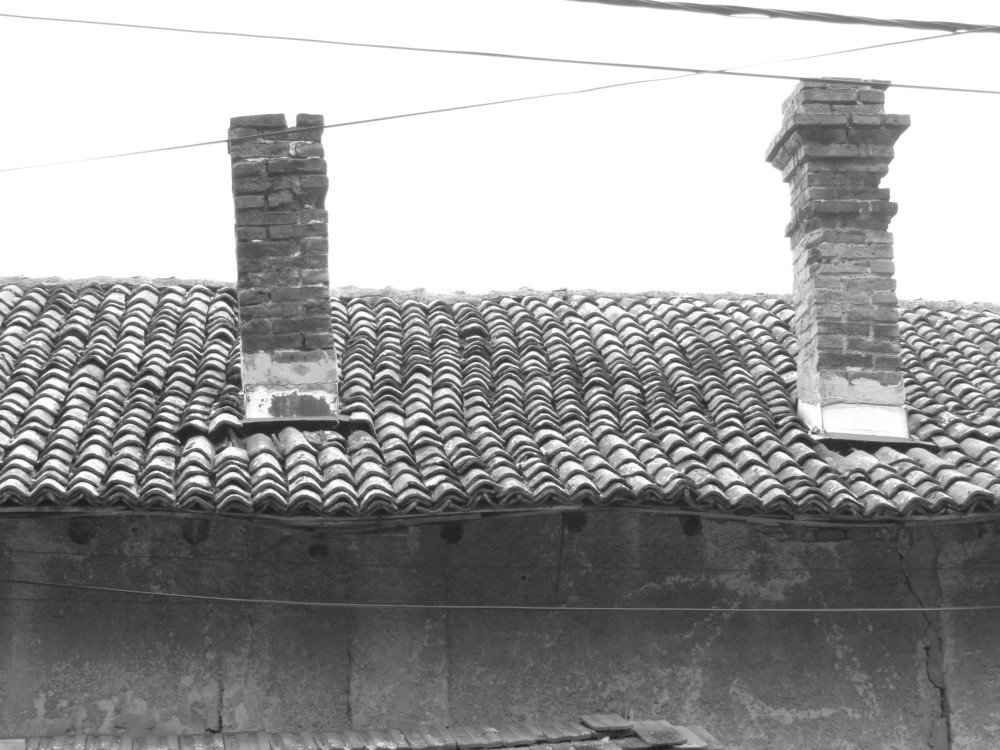 Photograph by Darko Milojevic