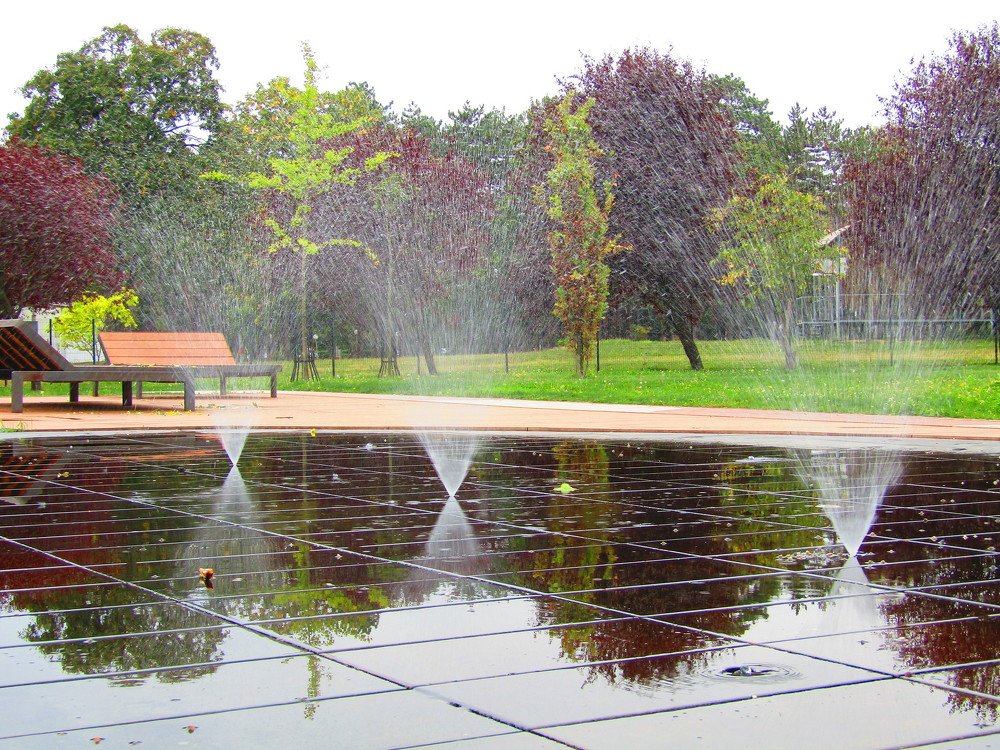 Photograph by Darko Milojevic