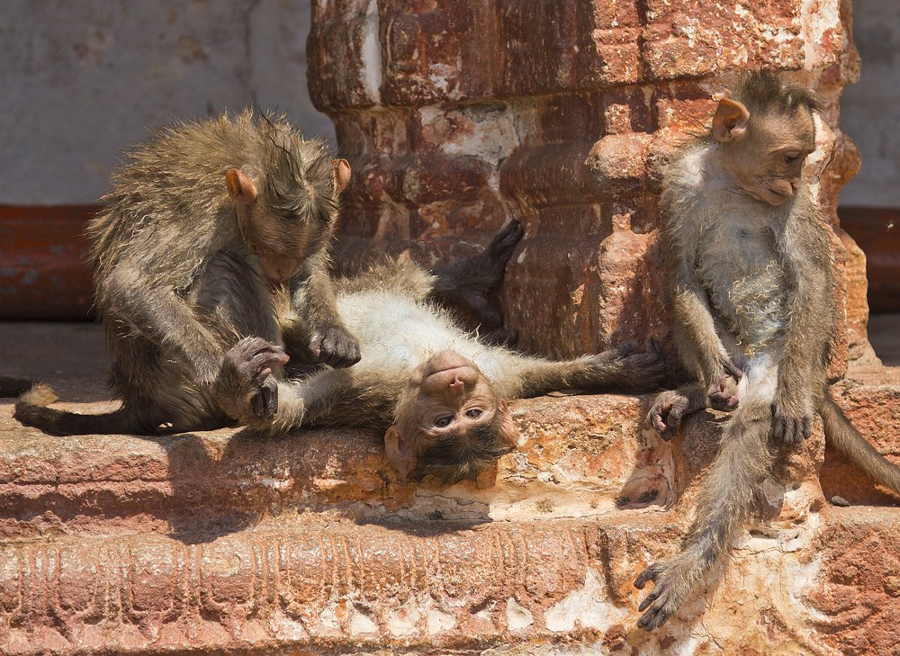 Photograph by Алексей Максимов