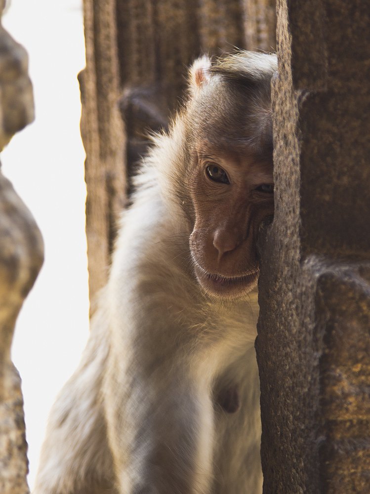 Photograph by Алексей Максимов