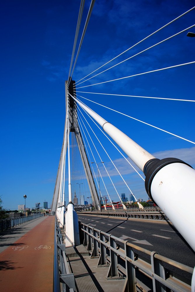 Фотография автора Анастасия Пищулова