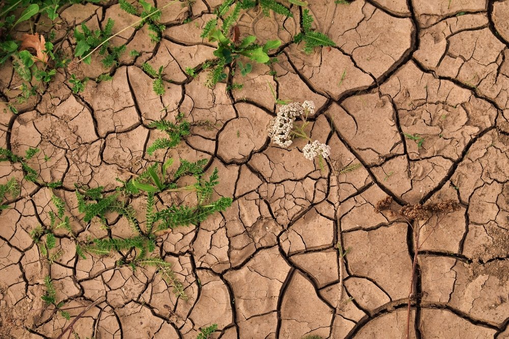 Photograph by Felipe Gonzaga