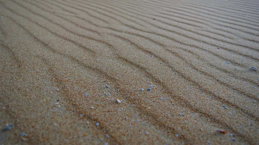 Photograph by Felipe Gonzaga